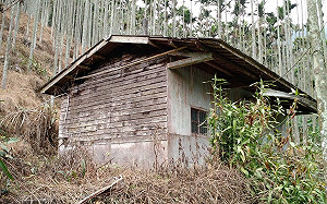 揭露賴清德遭遇的居住不正義  翁達瑞：一紙法令讓老家一夕之間變非法 