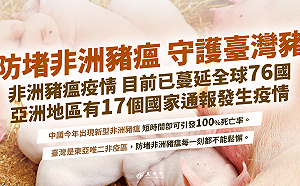 近期首次驗出非洲豬瘟新型病毒核酸 政院：強化邊境檢疫