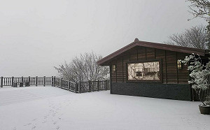 寒流襲台！太平山觀景台、山屋變身雪白世界  入園備雪鏈