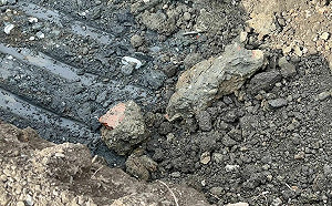 柯文哲新竹農地挖到鋼筋、磚頭 新竹市府聲明：未有相關廢棄物棄置