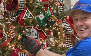 真相曝光萌翻！聖誕樹突冒一對眼睛