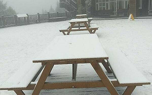 把握好天氣！明晚變天高山有望下雪 「這天」低溫下探12度