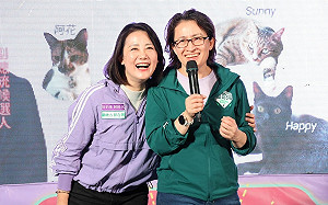 選情分析》綠拚北市立委過半！吳思瑤任領頭羊　許淑華成關鍵、謝佩芬搏勝選