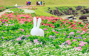 超夢幻打卡景點！ 內湖「繡球花海秘境」仙氣爆棚