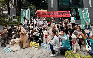 提三訴求呼應「寵物三政見」 台灣泰迪大貴賓家族挺郭倍宏進國會
