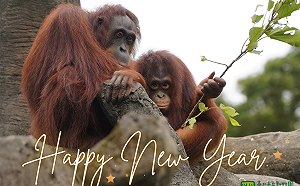 元旦假期和動物早餐約會！台北市立動物園1/1早上8時開園
