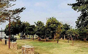 高市府觀光局用心輔導 全台首家合法農牧用地露營場誕生