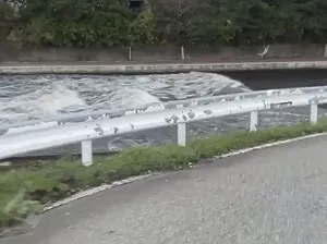 逃難先衝加油站！他曝日本海嘯避難守則