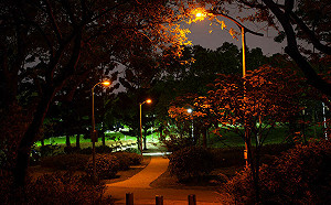 環境部「光污染管理指引」上路！增訂路燈色溫上限、廣告看版深夜禁止閃爍