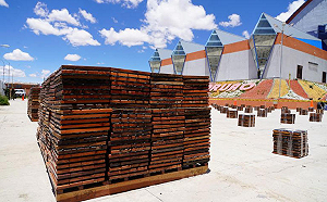 破南美洲國家記錄！玻利維亞破獲市值 168 億古柯鹼