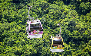 貓空踏青注意！貓纜1/15起維修停駛8天