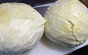 高麗菜價格直落恐崩盤？農糧署曝「不跌」真相