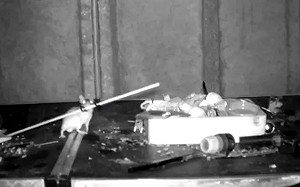 雜亂桌面一夜變整齊！偷錄影揪出「家政鼠」