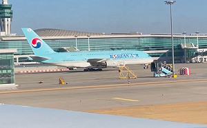 波音南韓又出事！遇鳥擊引擎起火 CEO為「噴艙門」致歉 外媒諷「哽咽不能解決問題」