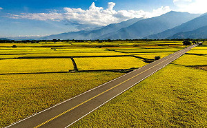 台東旅遊注意！伯朗大道空品維護區7/1上路 車輛不符規定罰6萬