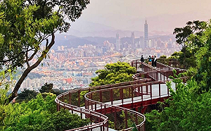 來趟悠閒森林浴！春節「台北小溪頭」步道走春去