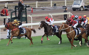 跑不動了！累計虧損超25億 44年歷史的澳門賽馬 將於4月停辦