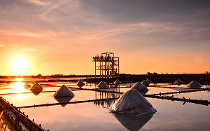 寶可夢訓練師別錯過！台南30條官方路線1/20抓寶探古都