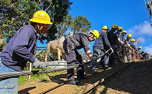 貓纜維修停駛！提前3天完工  1/20恢復營運