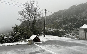 寒潮凍爆全台！低溫下探6度  「3縣市10校」低溫假