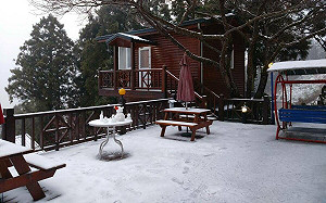 追雪！桃園復興區拉拉山雪況 高解析影像即時看