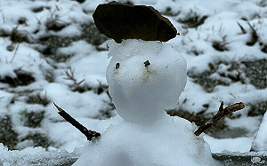 新北三峽也下雪！夢幻銀白世界曝光