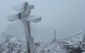 超美！玉山厚雪10公分 冰天雪地美照曝光