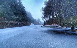 最強寒流發威！中部高山紛紛降雪  追雪加掛雪鏈