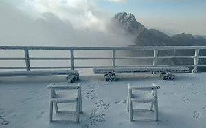 急凍玉山！今晨零下11度「 積雪5公分」美景曝光