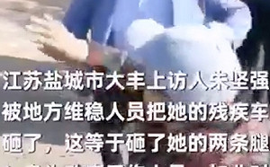 「球證」是我家的! 連5年百姓告官都失敗 官自誇「勝率100％」 慘遭出征