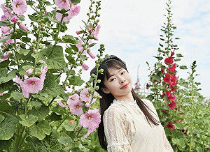 田中窯創藝園區蜀葵花盛開 春節賞花捏陶嚐美食遛小孩好去處