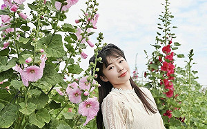 田中窯創藝園區蜀葵花盛開 春節賞花捏陶嚐美食遛小孩好去處