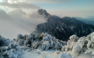 一圖對比2016年霸王寒流！專家：今年「這地方」比8年前還要冷