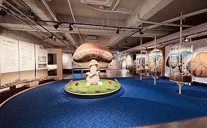 全世界唯二菇類博物館 霧峰菇類產學館歡迎民眾走春