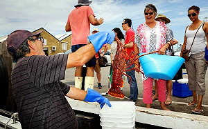 連3年無法賣中國! 澳洲龍蝦因檢疫問題被擋 這3國趕緊搶市場