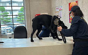 美無償捐贈！台灣第一隻電子產品偵測犬「WAFER」首次公開亮相