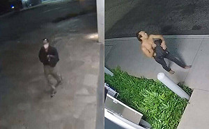 25歲中國女老師夏威夷街頭遭潑化學液體! 「衣物和皮膚都被燒了」