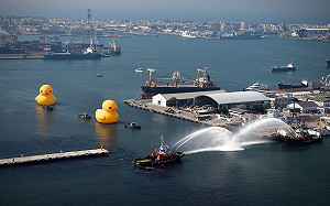 黃色小鴨見證高雄10年超變化 網：光榮感根本首都