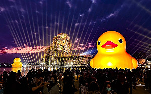 兩天破60萬人朝聖   高雄冬日遊樂園湧現賞鴨人潮  