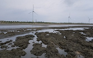 環團控「三接」工程破壞生態！中油：當地珊瑚無縮小趨勢