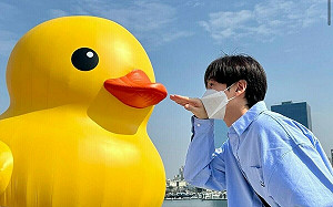 「黃色小鴨」浪潮SJ銀赫無法擋    粉絲爆笑：根本高雄觀光大使  