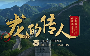 （影）「龍的傳人」有「小熊維尼」還有新冠病毒 黃明志新作 4天200萬瀏覽