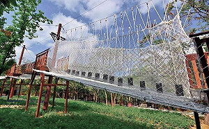 超人氣！台中大坑體訓場升級「12項關卡」設施 人潮成長6倍