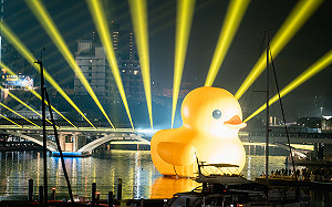 2024高雄燈會迎小鴨 高流「金呱閃閃」燈光展演璀璨光影點亮亞灣