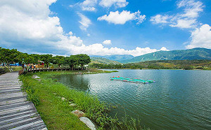 探索台東6濕地！大波池騎腳踏車遊湖感受悠閒慢生活
