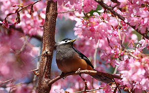 春節何處去？暢遊全台及離島各個國家公園賞美景