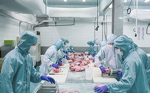 台糖稱驗出瘦肉精「可能是屠宰交叉污染」信功聲明：應是飼養造成