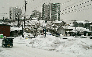 日本降大雪導致列車誤點？年前去玩請注意 做好防寒和防護很重要