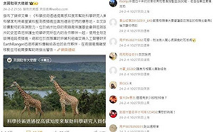 A股狂跌引爆「長頸鹿事變」！ 中國股民湧入美大使館微博留言求救