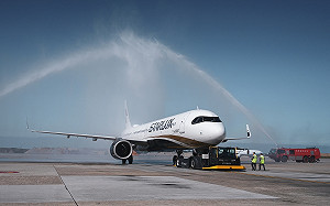 星宇增開3台中航線！澳門、峴港、高松4月前開航